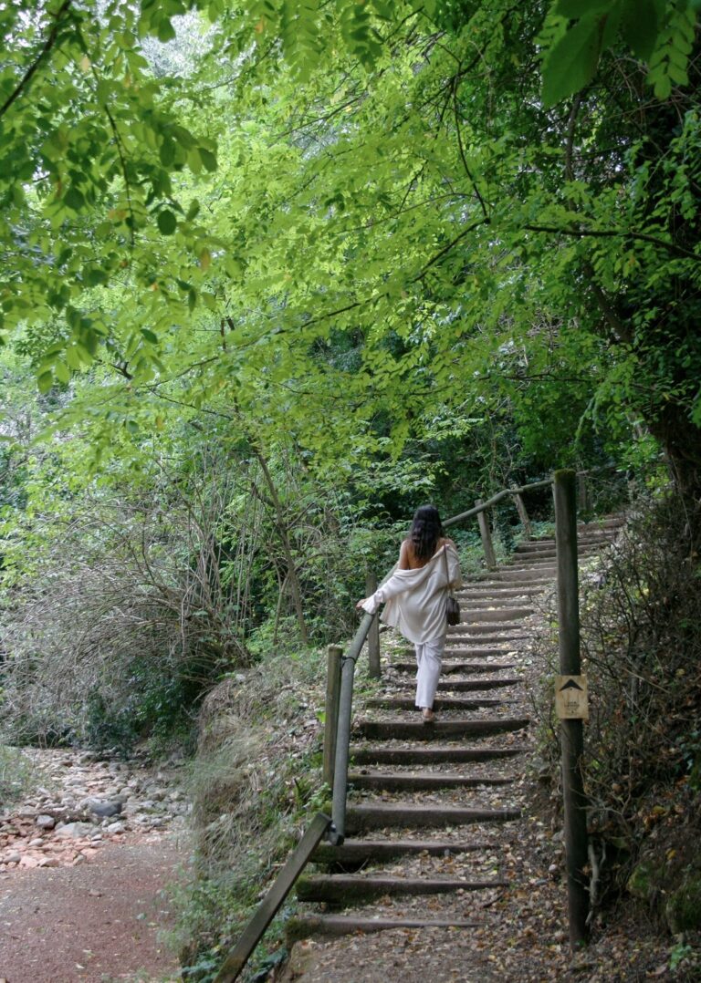 Una persona puja unes escales de pedra enmig del bosc