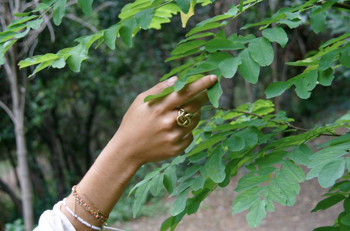 Una mà toca amb suavitat les fulles d'un arbre